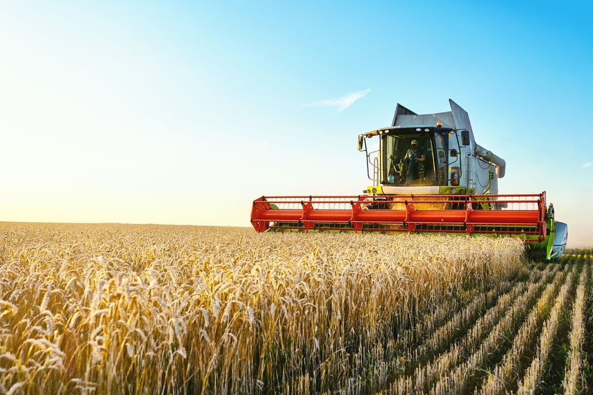 Agricultural and feed operation