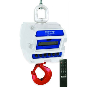 Intercomp CS 3000 Crane Scale